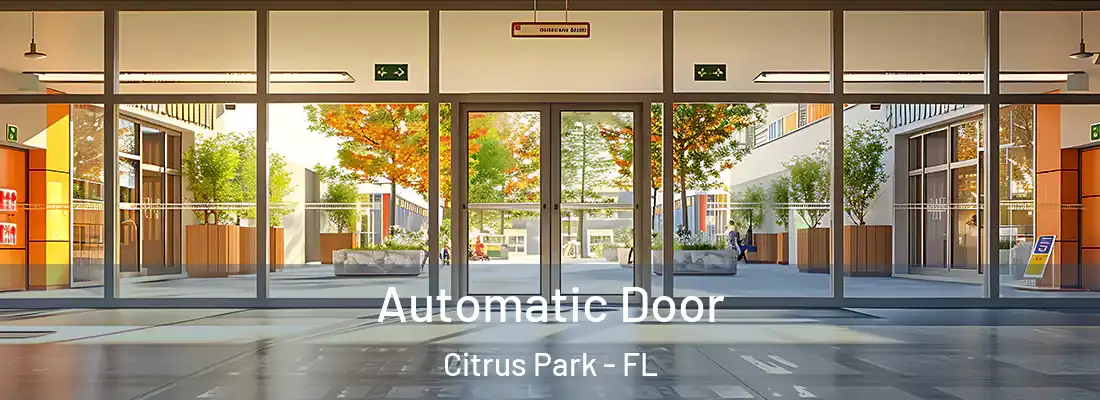 Automatic Door Citrus Park - FL