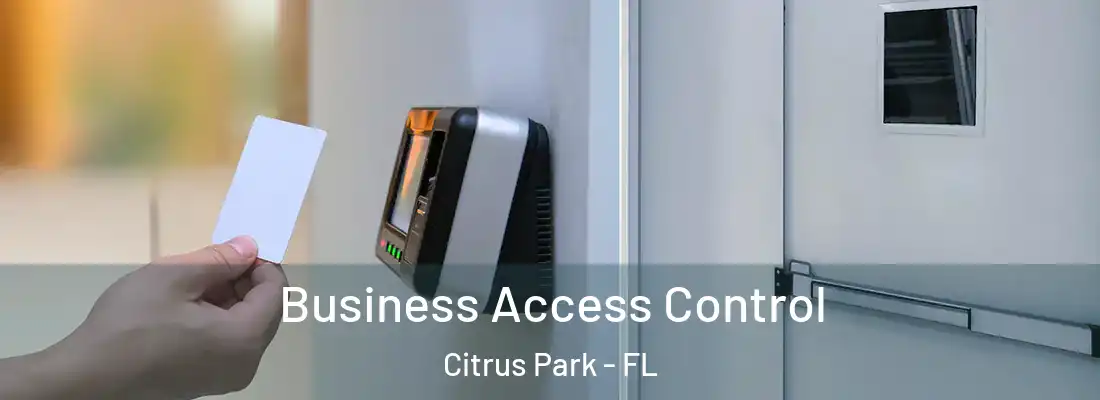  Business Access Control Citrus Park - FL
