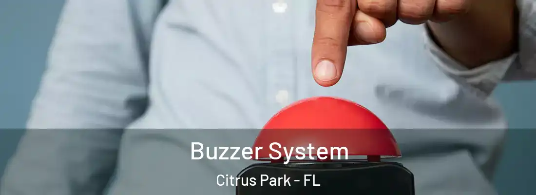  Buzzer System Citrus Park - FL