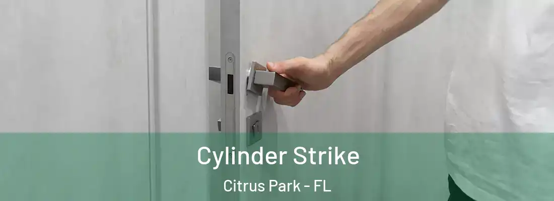  Cylinder Strike Citrus Park - FL