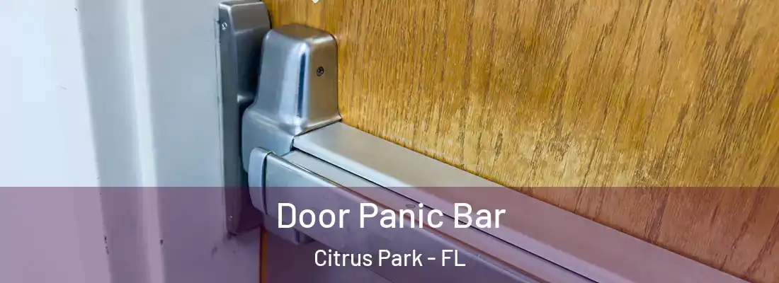  Door Panic Bar Citrus Park - FL