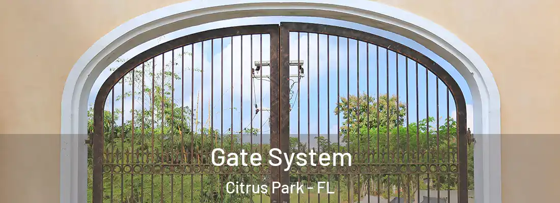  Gate System Citrus Park - FL