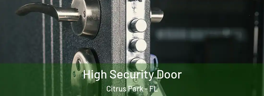  High Security Door Citrus Park - FL
