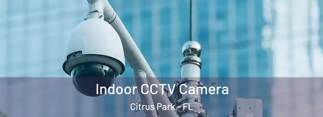  Indoor CCTV Camera Citrus Park - FL