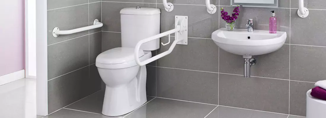 Modern Handicap Bathroom Solutions with Safety Features in Citrus Park, FL