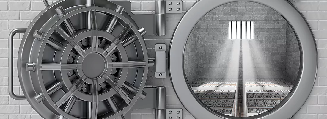 Vault Repair in Citrus Park, FL