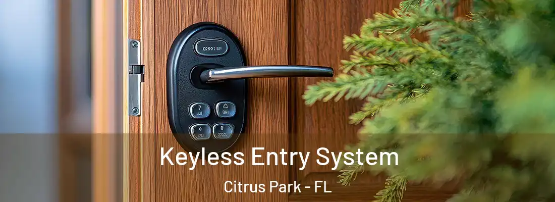  Keyless Entry System Citrus Park - FL