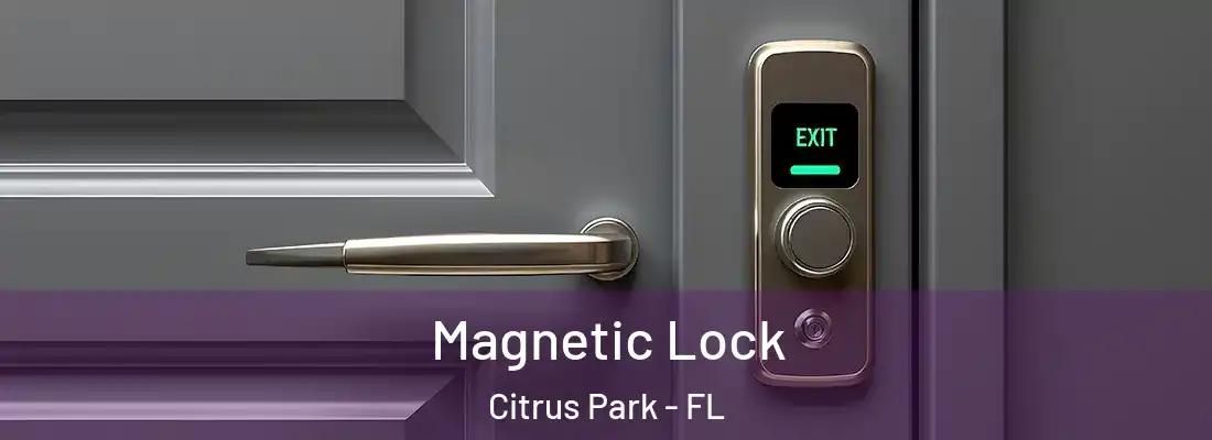 Magnetic Lock Citrus Park - FL