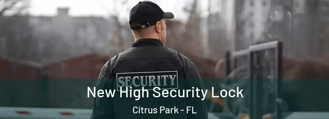  New High Security Lock Citrus Park - FL