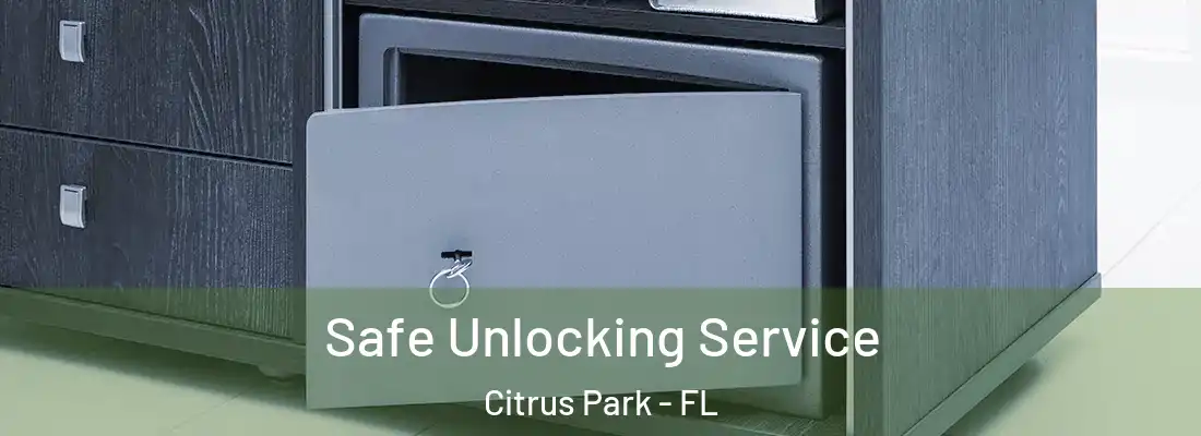  Safe Unlocking Service Citrus Park - FL