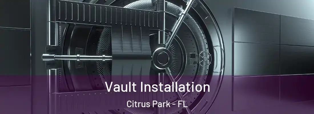  Vault Installation Citrus Park - FL
