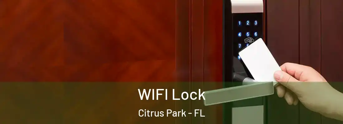  WIFI Lock Citrus Park - FL
